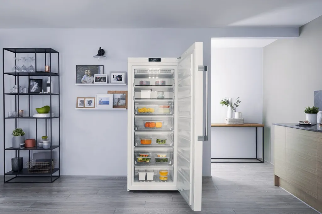 Whirlpool Bauknecht GKN 2173 A3+ Gefrierschränke - Weiß – Bild 6