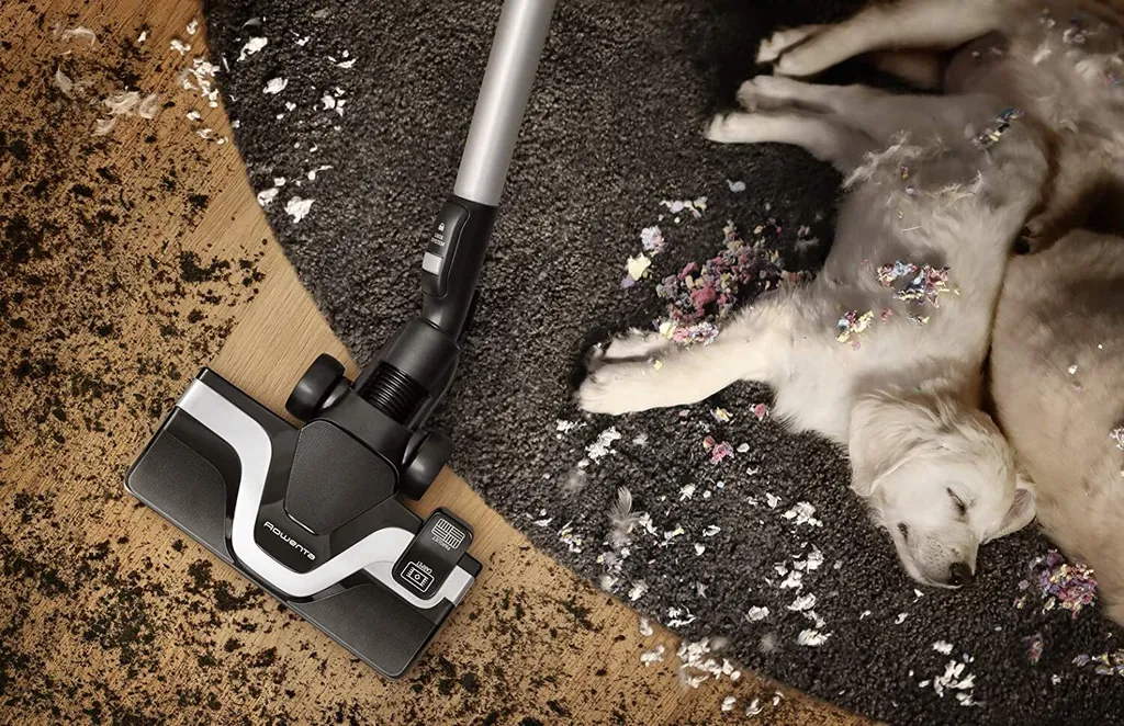 Rowenta RO7690 Silence Force Cyclonic Animal | Beutelloser Staubsauger | Vacuum-Cleaner | Sehr Leise | 2,5L Staubvolumen | Tierhaare | Auto | Schwarz/Blau – Bild 5